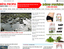 Tablet Screenshot of dongphuongnews.com